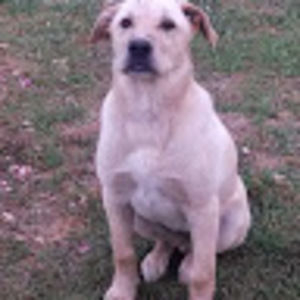 Meet your Posher, Tasha